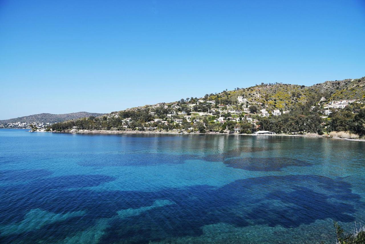 180° View To Sea Villa Vathí Buitenkant foto